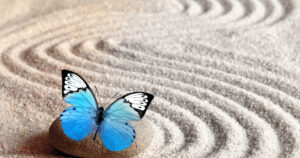 blue butterfly on a rock on sand that has been raked into a swirled pattern