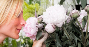 blond woman smelling pink flowers